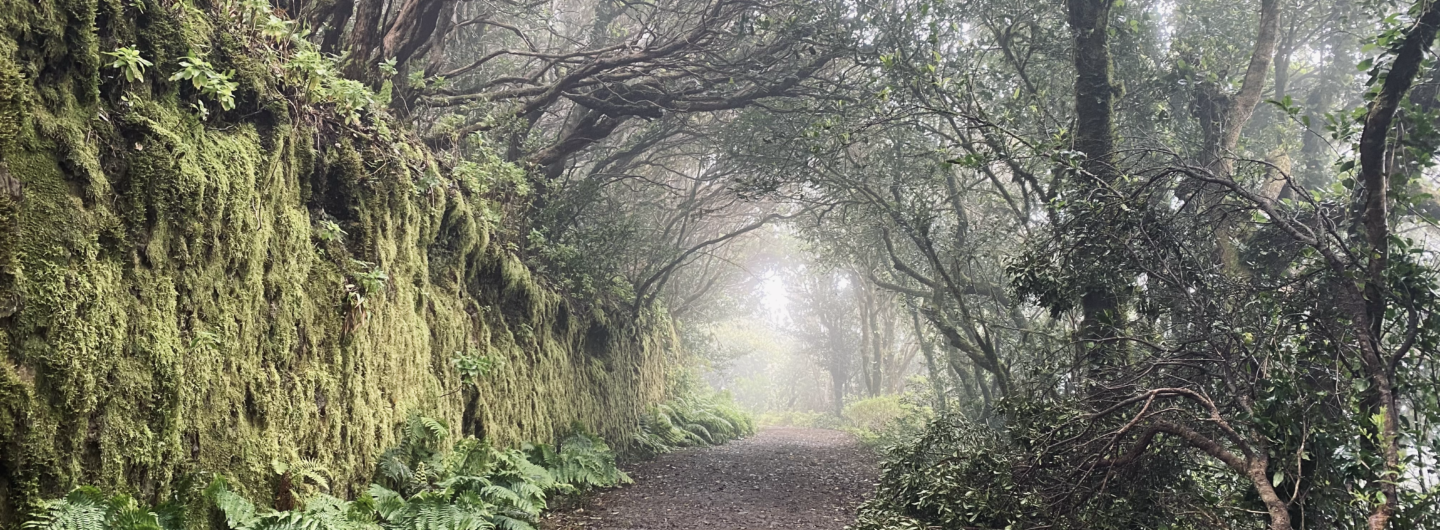 Pogoda na Teneryfie we wrześniu