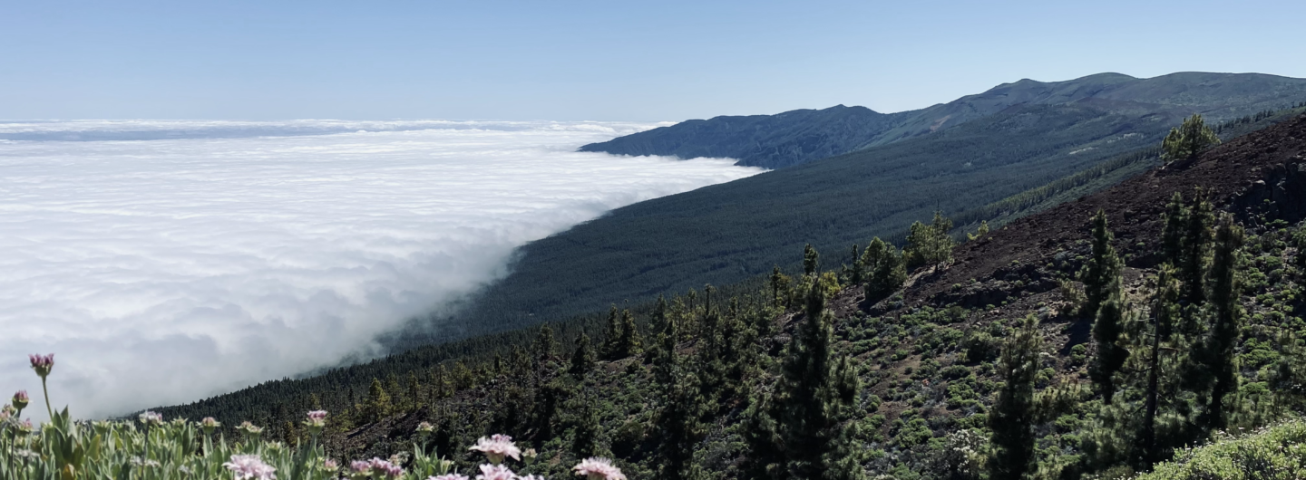 Pogoda na Teneryfie w maju