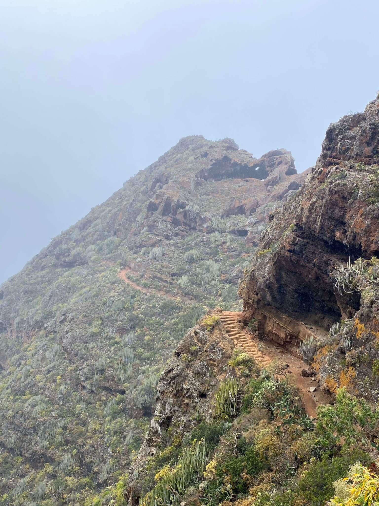 Szlak trekkingowy Anaga – Chinamada do Punta del Hidalgo z widokiem na ocean i zielone góry Teneryfy