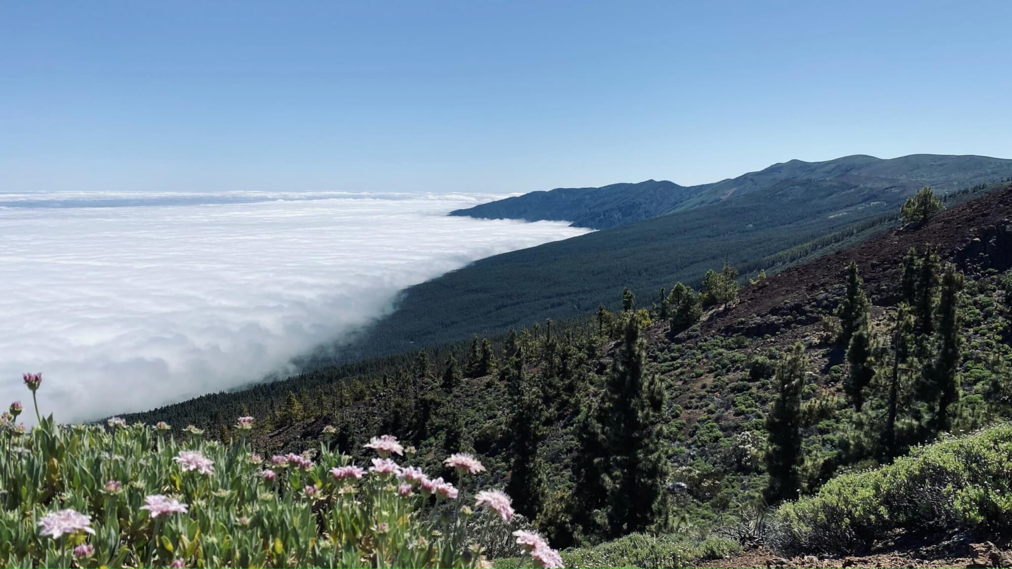 Łatwy szlak w Parku Narodowym Teide z widokiem na morze chmur o świcie