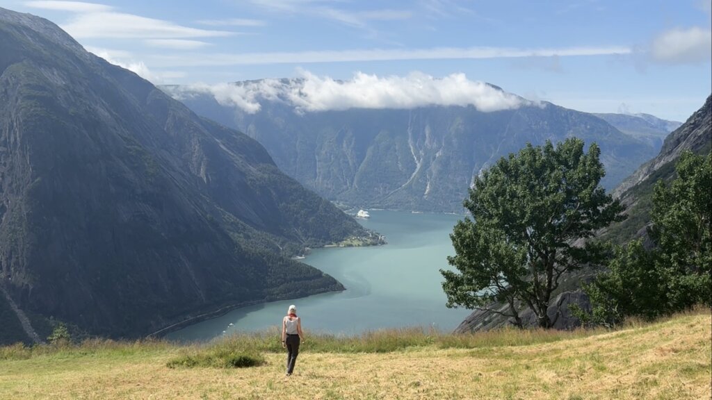 Widok z góry Kjeåsen na Eidfjord i statek wycieczkowy w fiordzie